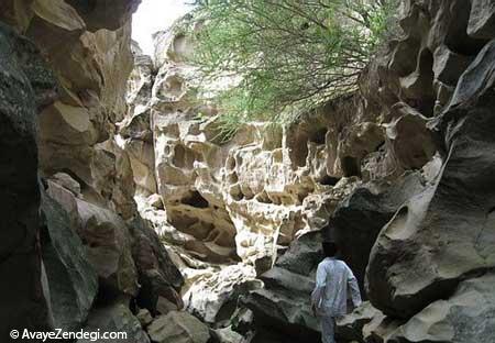  تصاویری زیبا از قشم جزیره شگفتی ها 