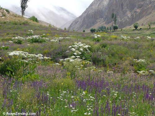  تنگه واشی؛ پیاده‌روی دلچسب در رودخانه 