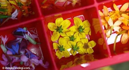 هیجان روی میز غذا با تکه های یخ گل دار هیجان روی میز غذا با تکه های یخ گل دار