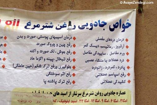 دایناسور سواری گردشگران در باغ تاریخی دولت آباد