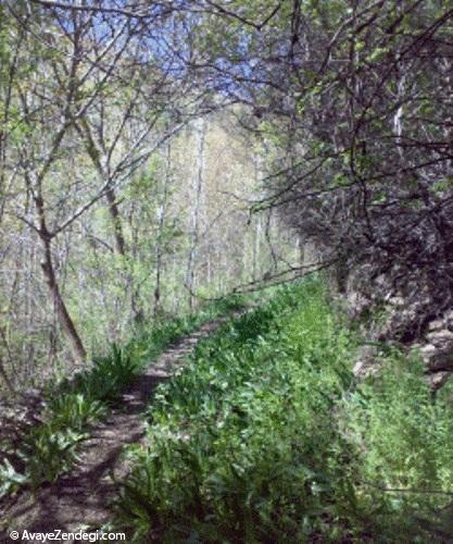 کندوله؛ روستایی از آل بویه کندوله؛ روستایی از آل بویه