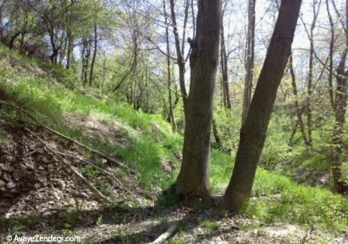 کندوله؛ روستایی از آل بویه کندوله؛ روستایی از آل بویه