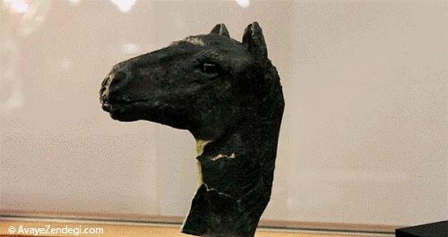  دویست هزار سال زندگی با حیوانات 