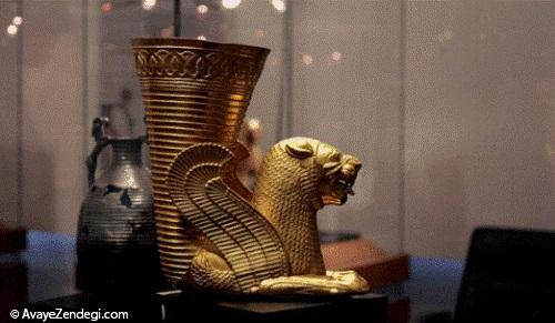  دویست هزار سال زندگی با حیوانات 