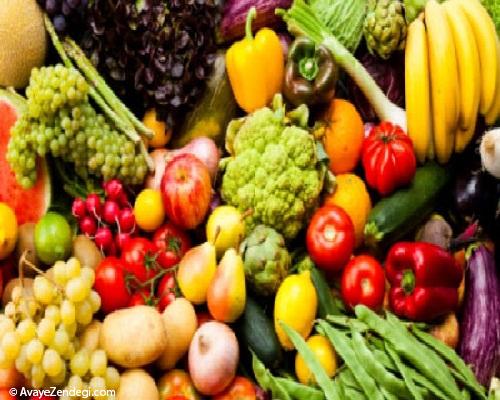 زندگی گیاهخواران، از فیثاغورث تا افسران نازی!