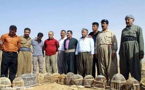  خداحافظی 50 شکارچی با شکار 