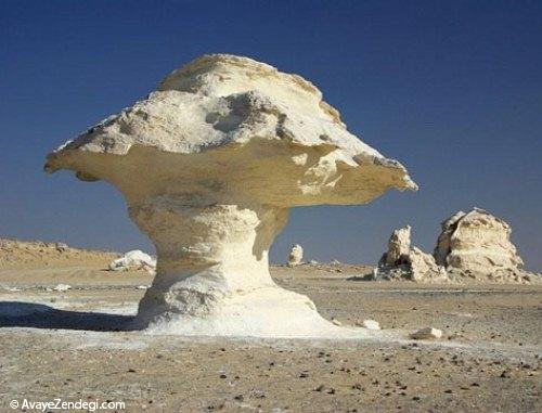  تصاویر جالب از صحرای سفید 