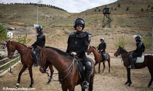یگان ویژه اسب سوار