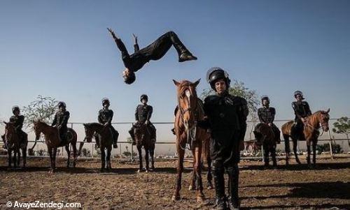 یگان ویژه اسب سوار