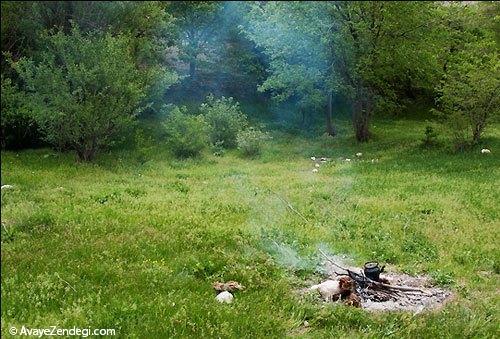  طبیعت بهاری روستای آب ملخ 