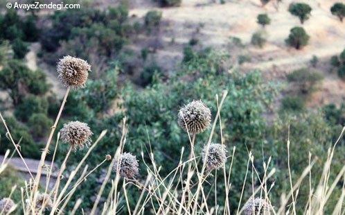 لرستان، سرزمین گنجهای پنهان لرستان، سرزمین گنجهای پنهان