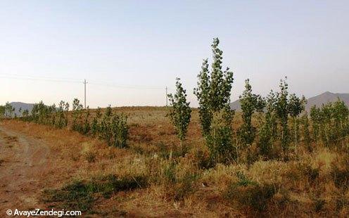 لرستان، سرزمین گنجهای پنهان لرستان، سرزمین گنجهای پنهان