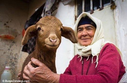  عکس های روز جهانی خنده 