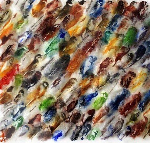  عکس نقاشی های جالب روی پر پرنده 