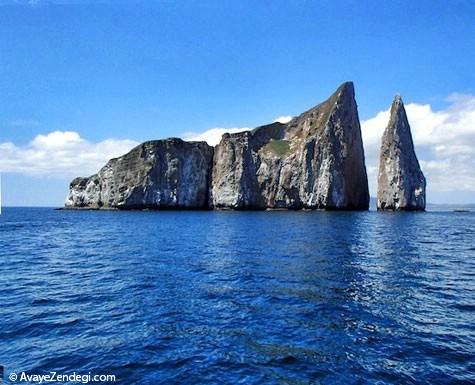 جالب ترین جاذبه های گردشگری جزایر گالاپاگوس جالب ترین جاذبه های گردشگری جزایر گالاپاگوس