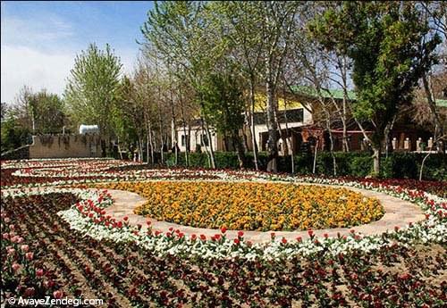  نمایشگاه گل لاله در کرج 