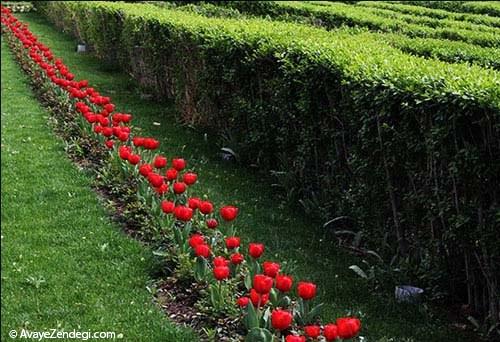  نمایشگاه گل لاله در کرج 