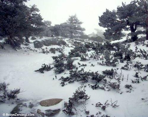  20 منظره زمستانی زیبا در جهان 