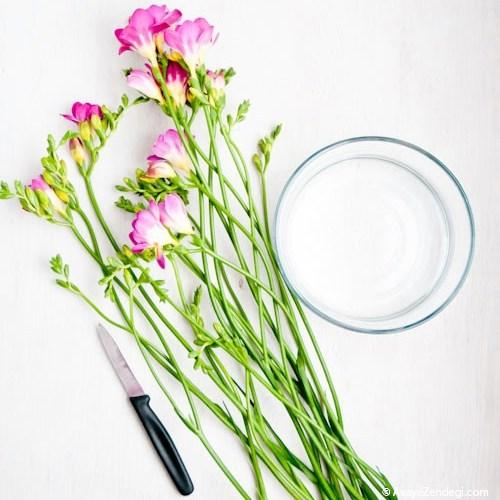 10 راز افزایش عمر گل های تازه 10 راز افزایش عمر گل های تازه