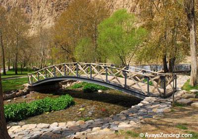 از سراب نیلوفر تا خضر و الیاس نبی در کرمانشاه