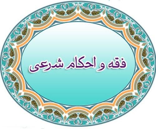 آوای زندگی