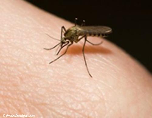 آیا ایدز با نیش حشرات هم منتقل می‏ شود؟