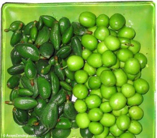 تغذیه در سبزترین فصل سـال