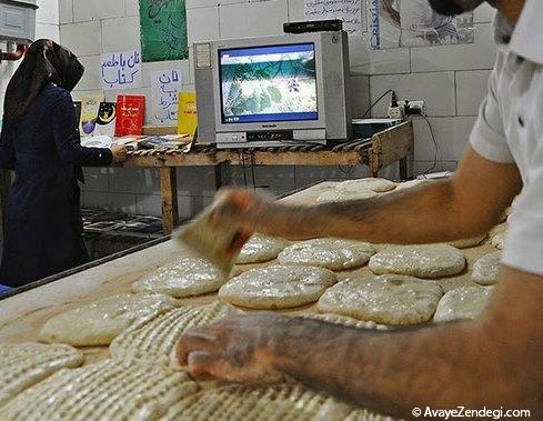 بربری با طعم کتاب
