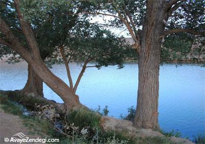 غربال بیز در مه ریز غربال بیز در مه ریز