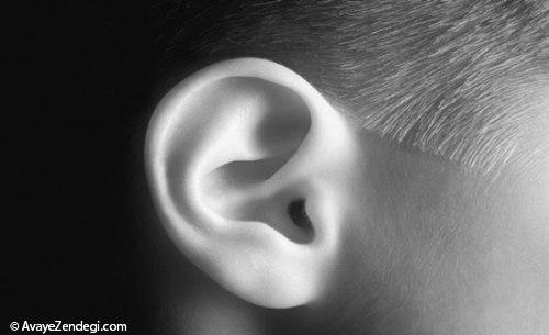 چرا گوش انسان‌ تا پایان عمر رشد می‌کند؟!