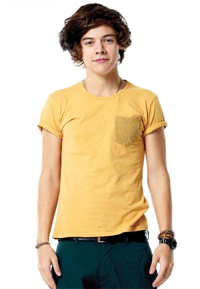 پسرهای پردردسر 1D را بیشتر بشناسید پسرهای پردردسر 1D را بیشتر بشناسید