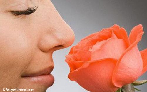 6 توصیه برای تقویت بویایی