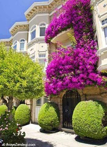  زیباترین باغچه های داخل بالکن 