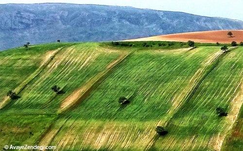 روستای قوردانلو