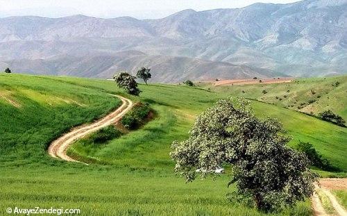 روستای قوردانلو