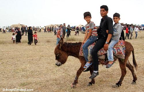 جشنواره کوچ عشایر در اردبیل