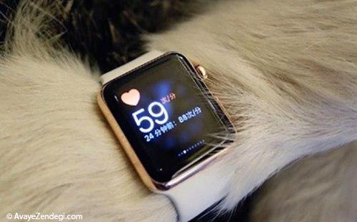 سگِ این آقازاده ساعت اپل می‌بندد!