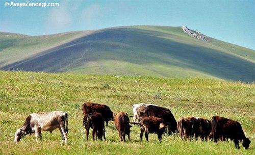 زیبایی ارسباران