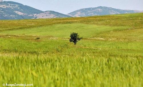 زیبایی ارسباران