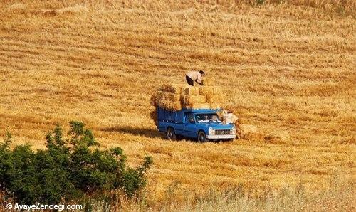 زیبایی ارسباران