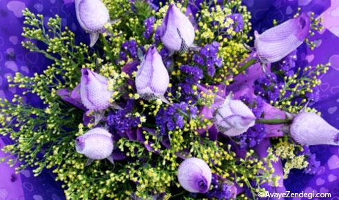 معنی رنگ های گل رز 