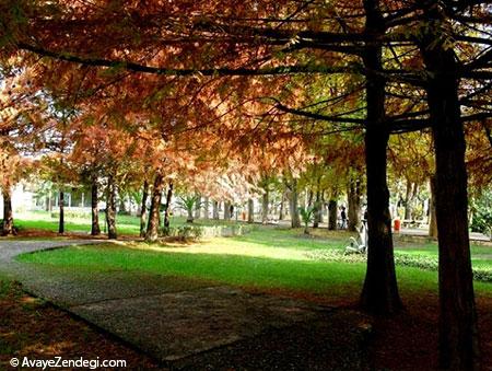 آشنایی با باغ محتشم گیلان