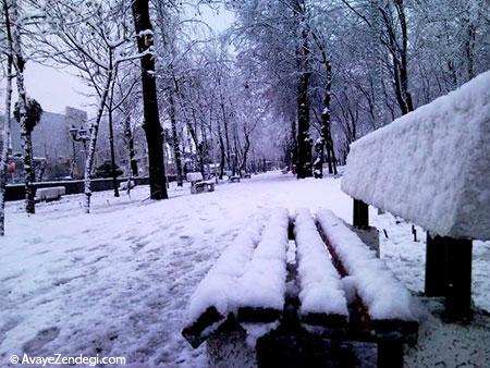 آشنایی با باغ محتشم گیلان