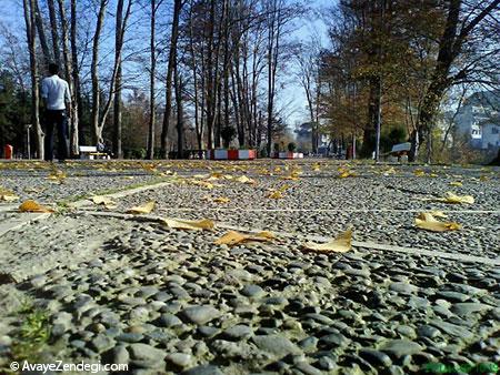 آشنایی با باغ محتشم گیلان