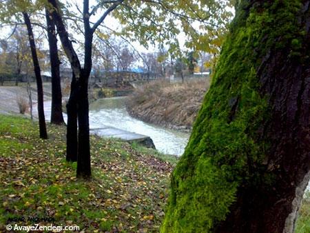 آشنایی با باغ محتشم گیلان