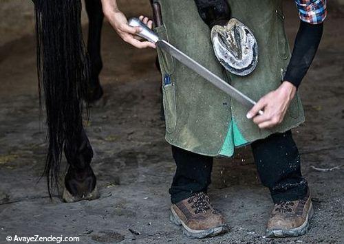 دختر ایرانی با شغلی متفاوت