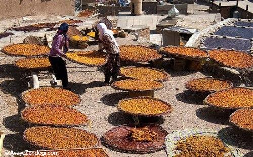  سفر به پایتخت لواشک ایران 