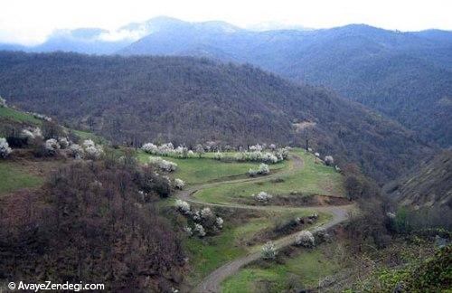 زیبایی گردنه حیران، حیران تان میکند!