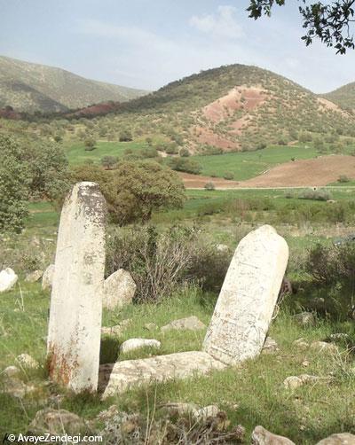 آموزش جهت یابی در طبیعت