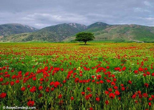  10 جاذبه‌ی بکر برای ایرانگردی در بهار 